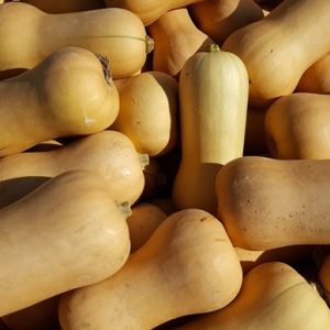 Butternut Whole each