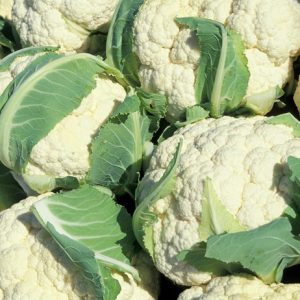 Cauliflower Prepack