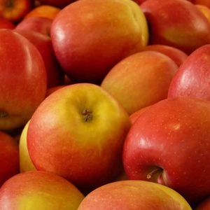 Apples Econo Pack Red