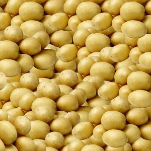 Potatoes Baby Whole per kg